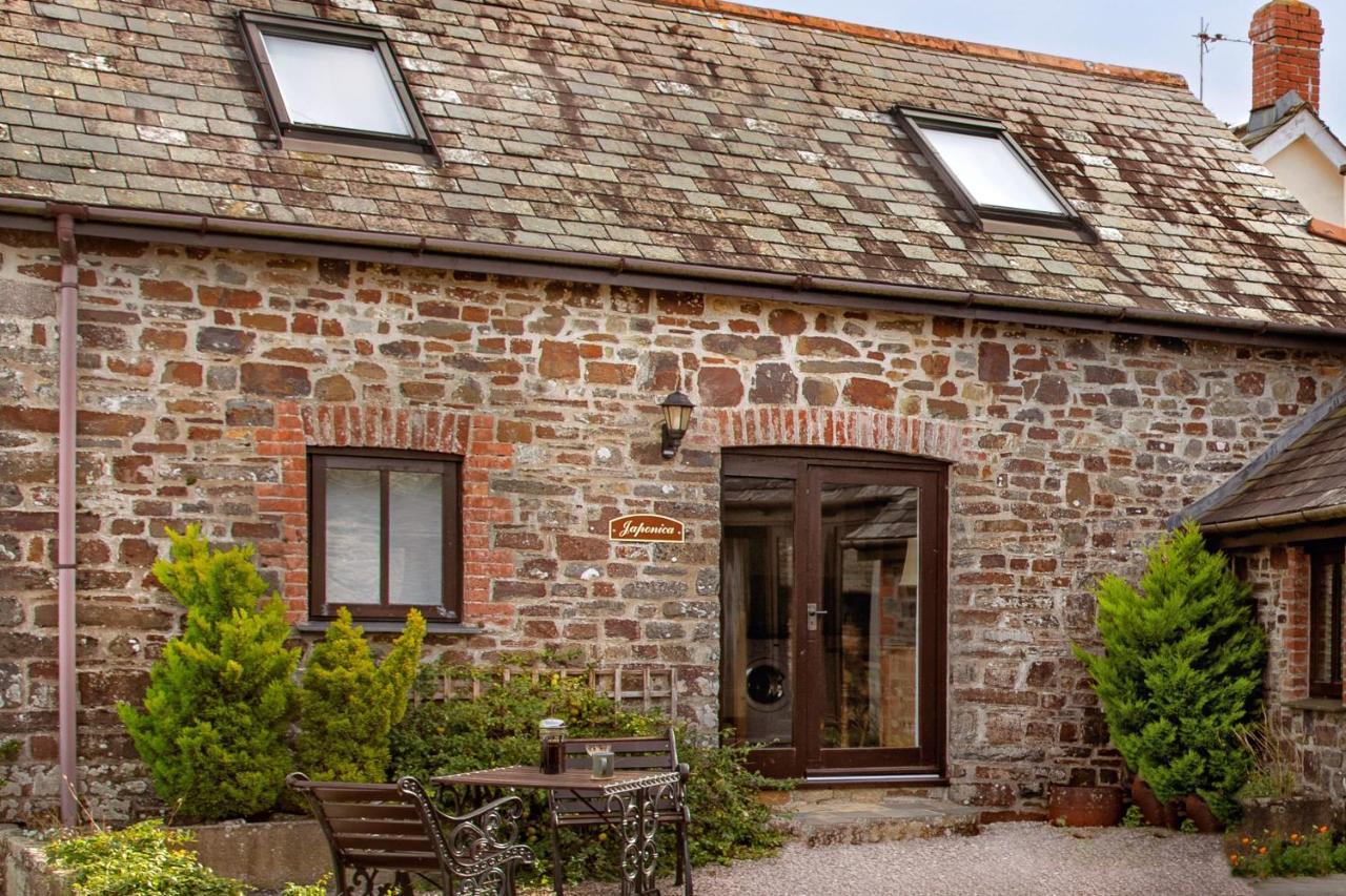 Downe Cottages Hartland Eksteriør billede